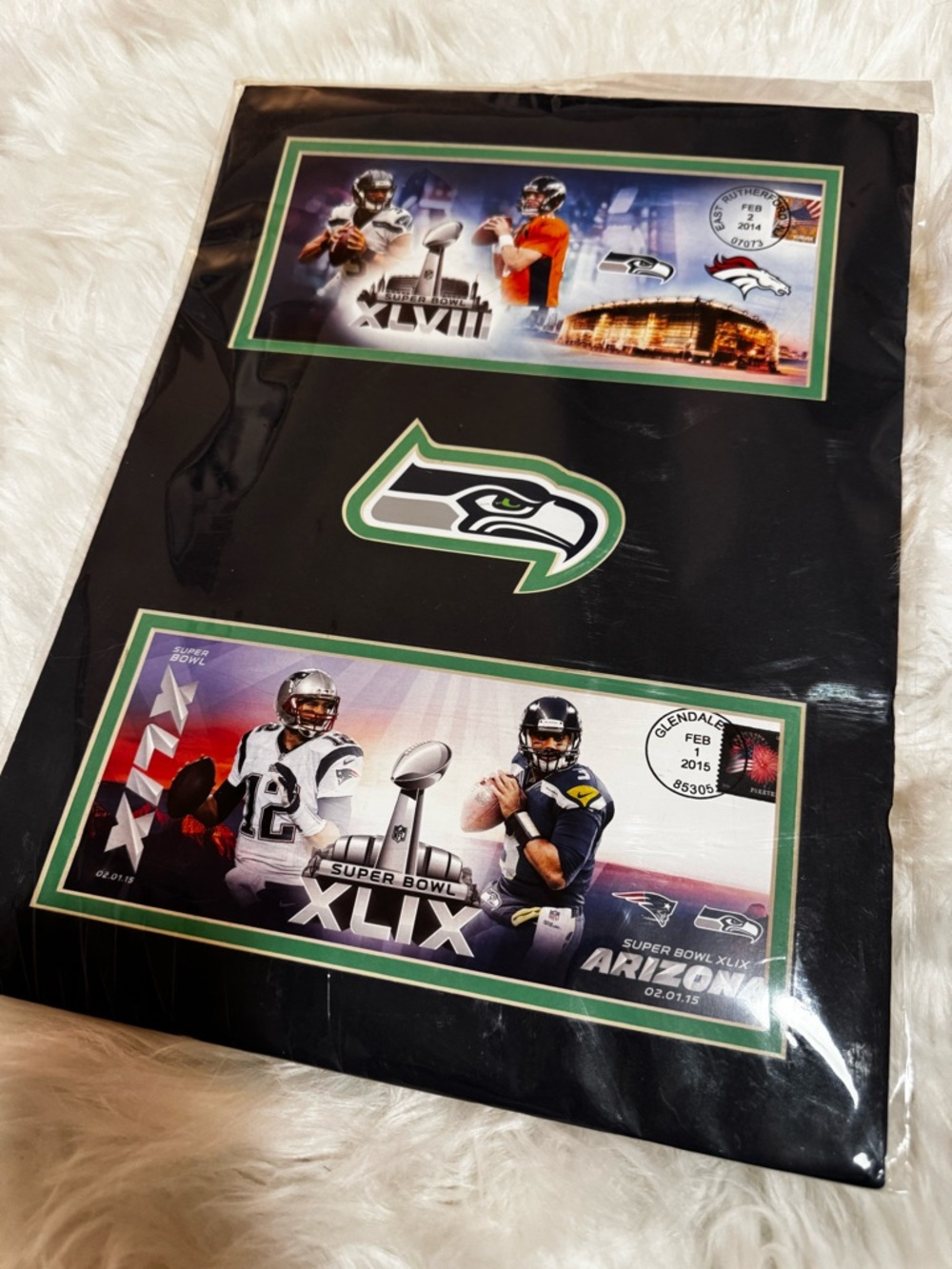 Seattle Seahawks Super Bowl XLVIII & XLIX Collector Display Plaque Decor - Picture 2 of 10